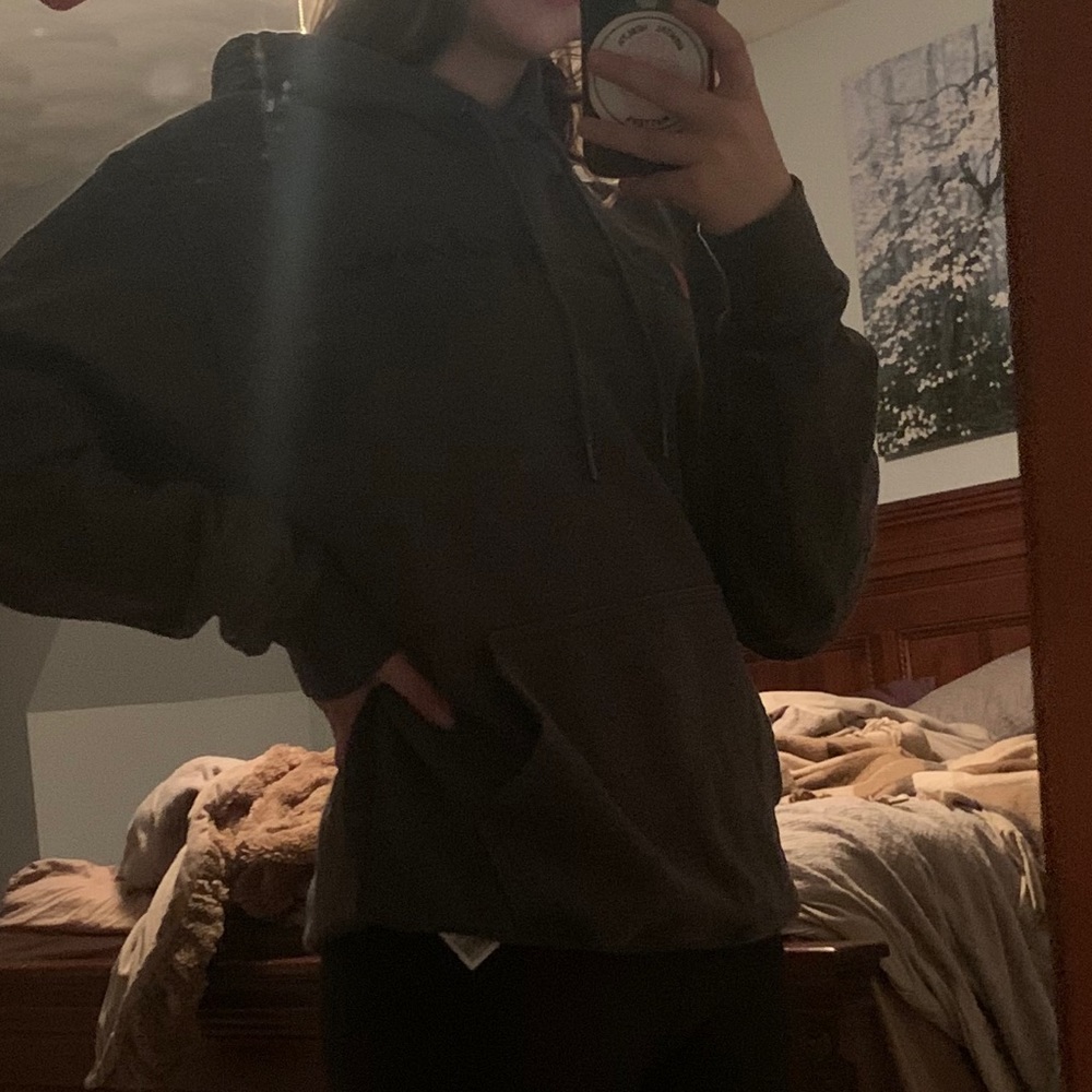 Gray champion sweater